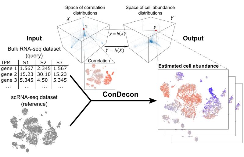 Spatial Transcriptomic Data Condecon - Dark Wallpapers - Artistic Mobile Collection