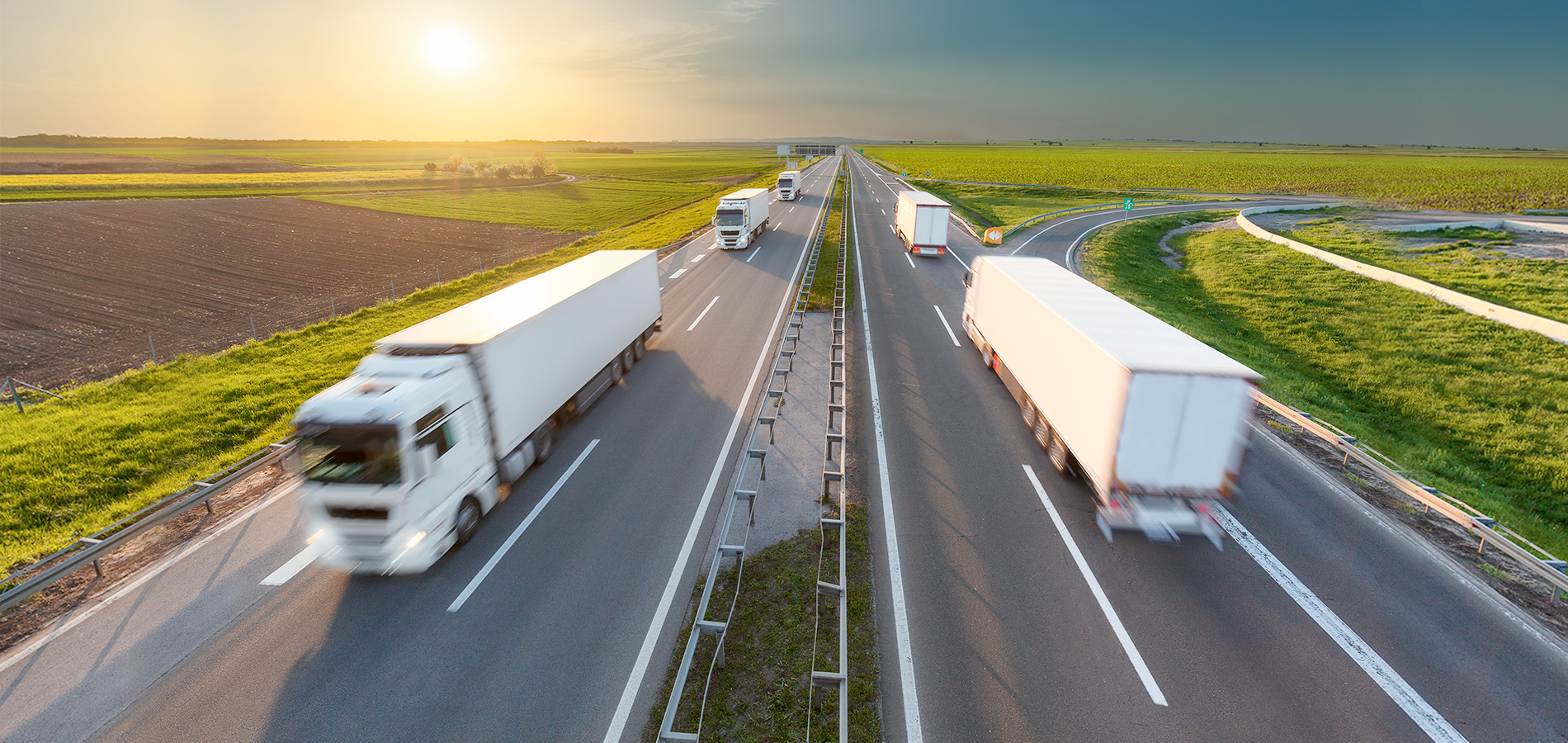 Customized Distribution