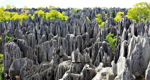 Tsingy de Bemaraha