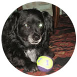 Jennifer and Jay Jay