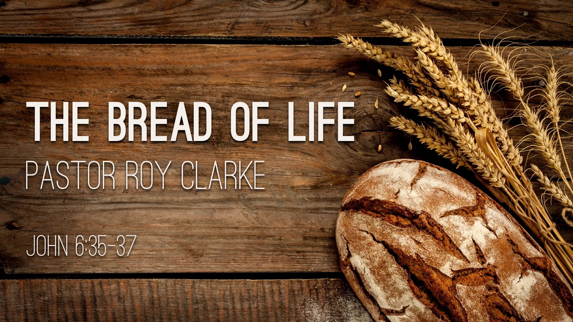 The Bread of Life
