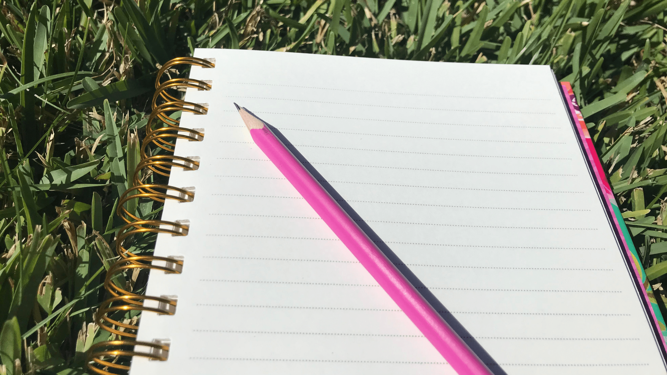 My Current Writing Projects!