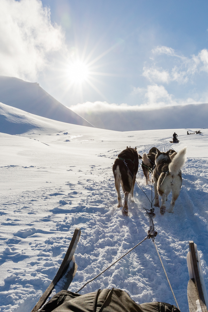 The dog sleigh guide warned us not to take photos, because there's a risk the camera will be yanked out of our hands if we hit a bump. I could, however, not resist this beautiful view and just had to get a shot! Dog sleigh riding in Svalbard in this weather is quite the experience! Shot with Canon 5Ds and Canon 24-70mm f/2.8L II USM f/2.8 @ 24mm, 1/1000sec, f/18, ISO 500.
