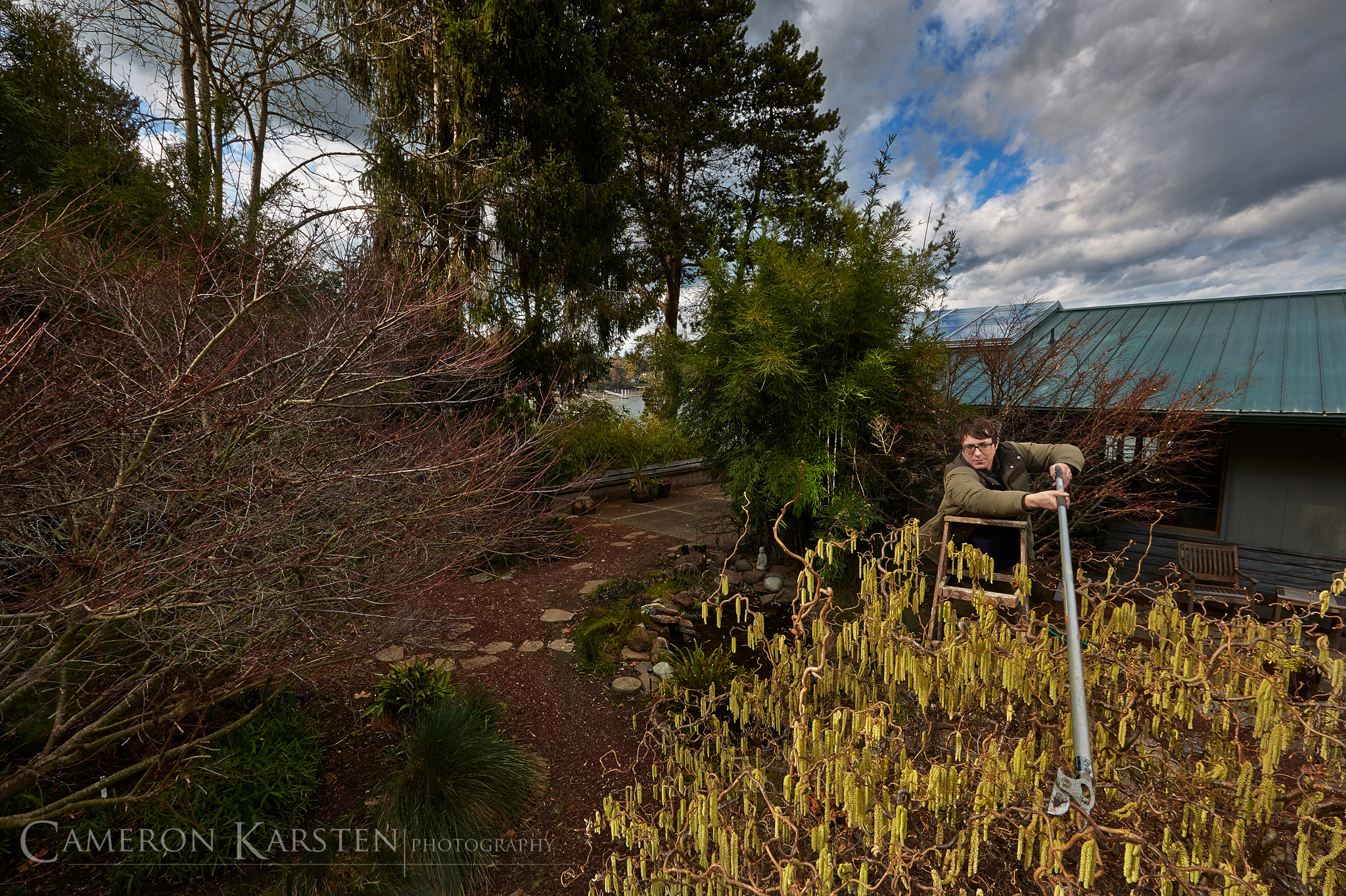 Eastern Filbert Blight Wisconsin Horticulture