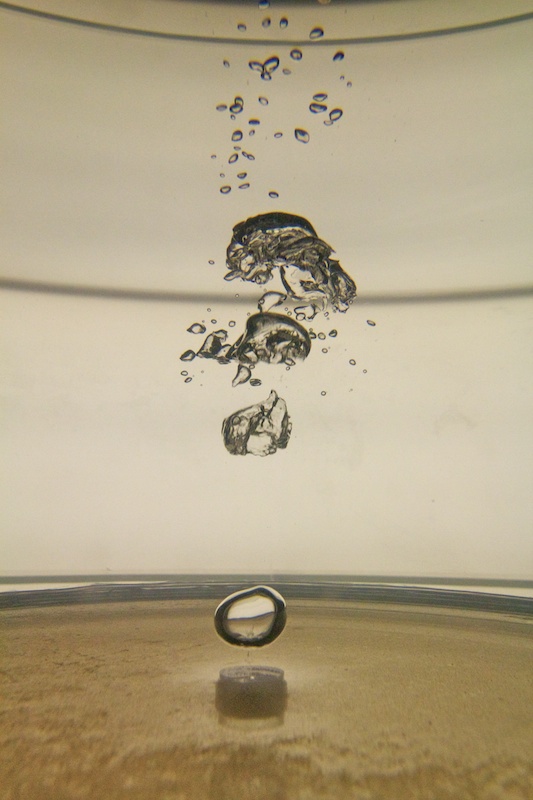 bass bubble chamber detail