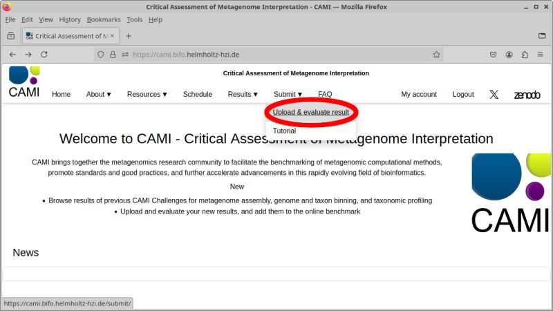 Cami Symposium - Incredible HD Light Photos | Free Download