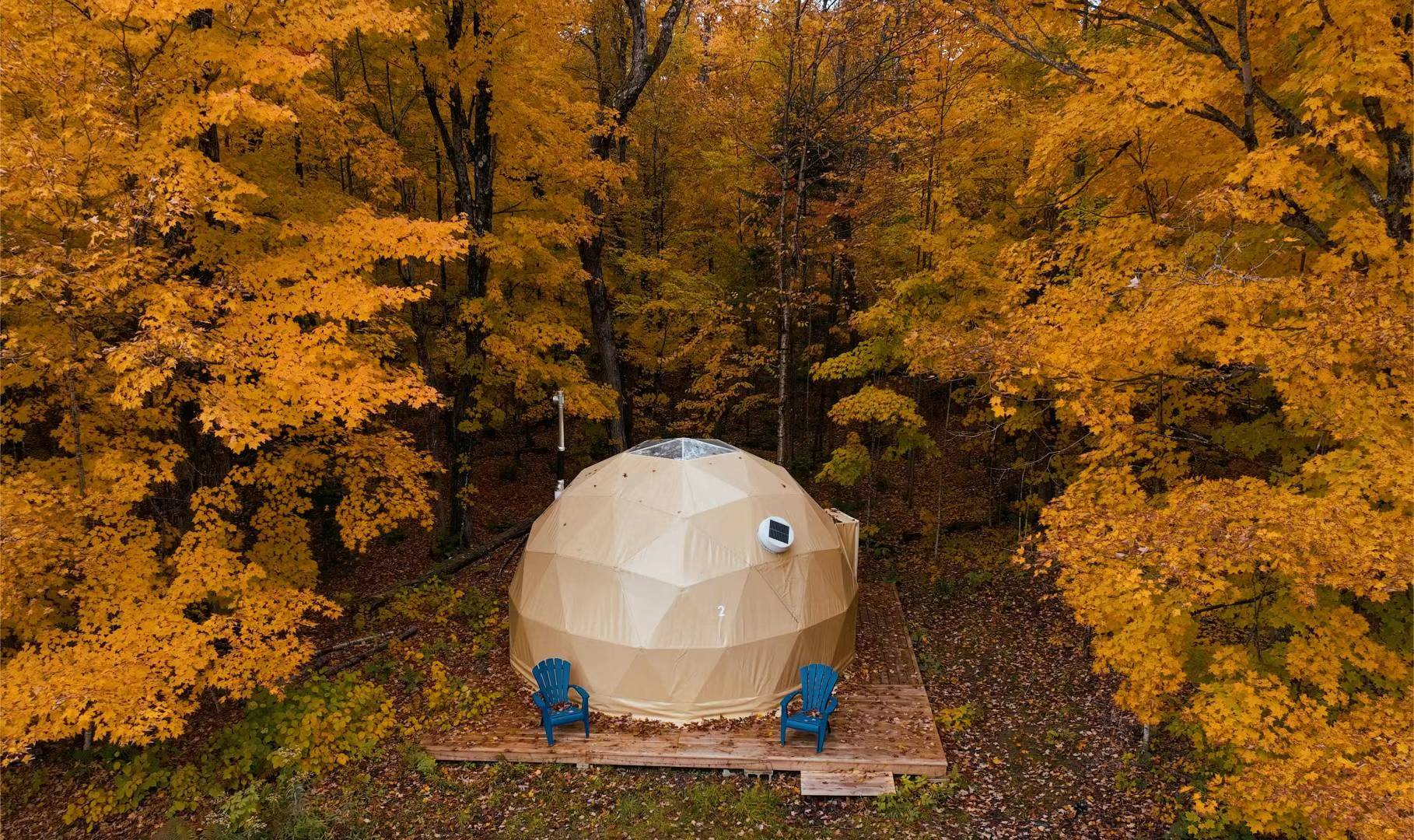 Forest Geodesic Dome - Camp Adelaide