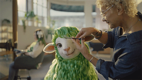 Meet Buck: The Sheep with a Mission - Kiwibank's New Campaign (2026)