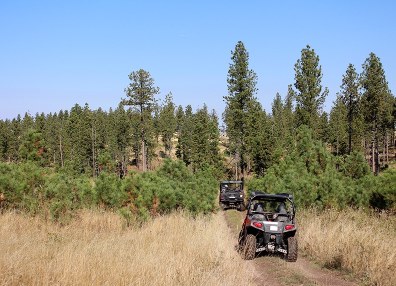 Exploring The Rugged Beauty – Four-Wheeling In The Black Hills