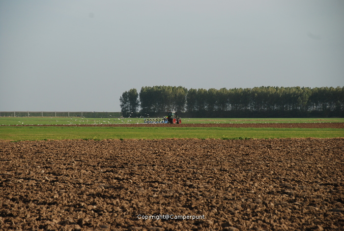 Kloetinge