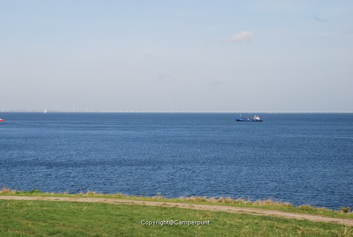 DSC_5377