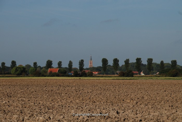 DSC_5386