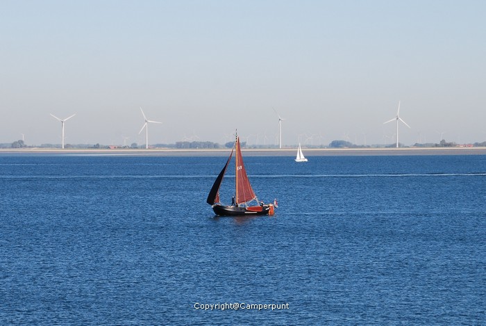 DSC_5498