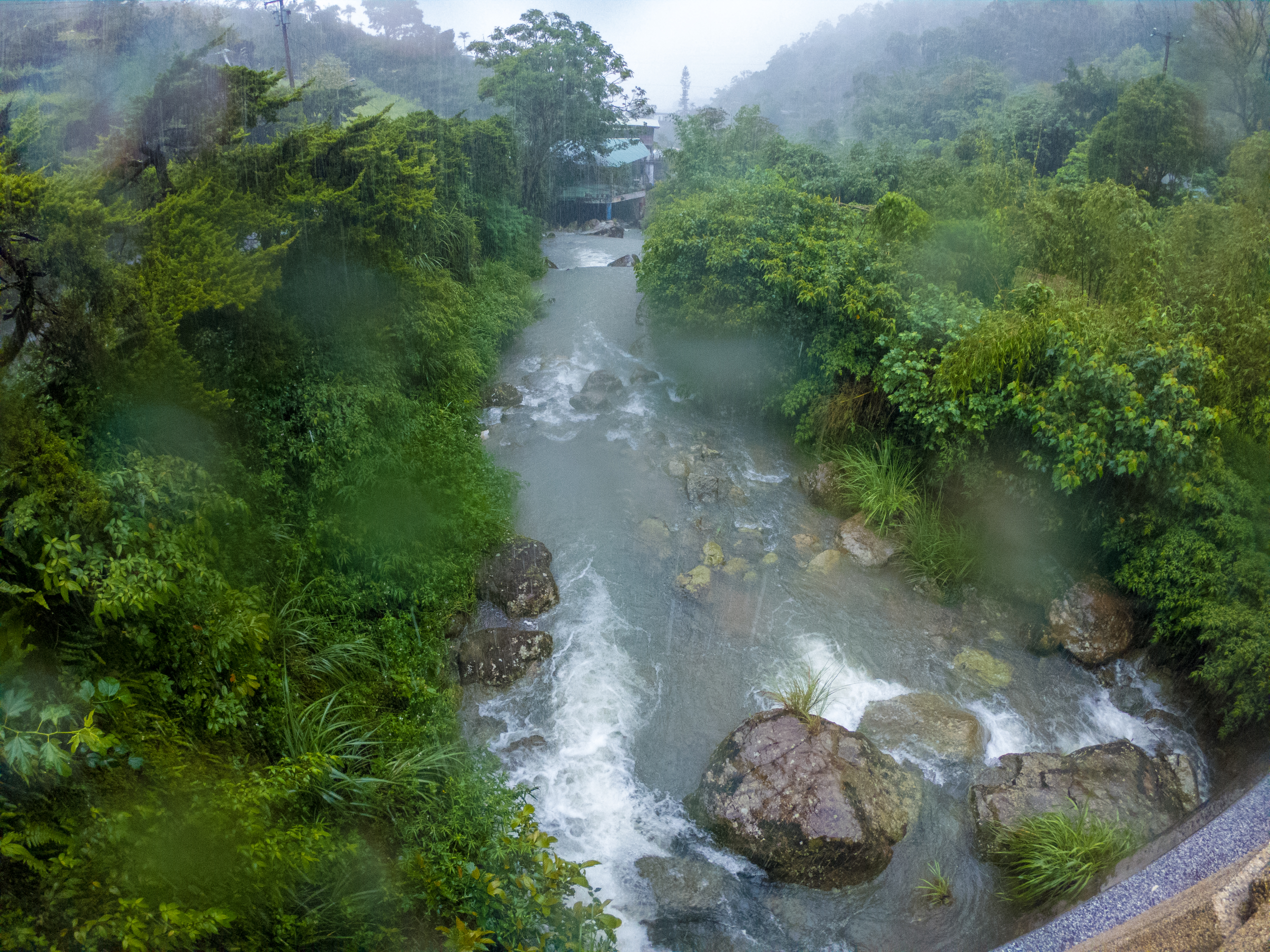 自然影像記錄～台灣北部、貓空、指南溪, 4K under water, fishing in Taiwan