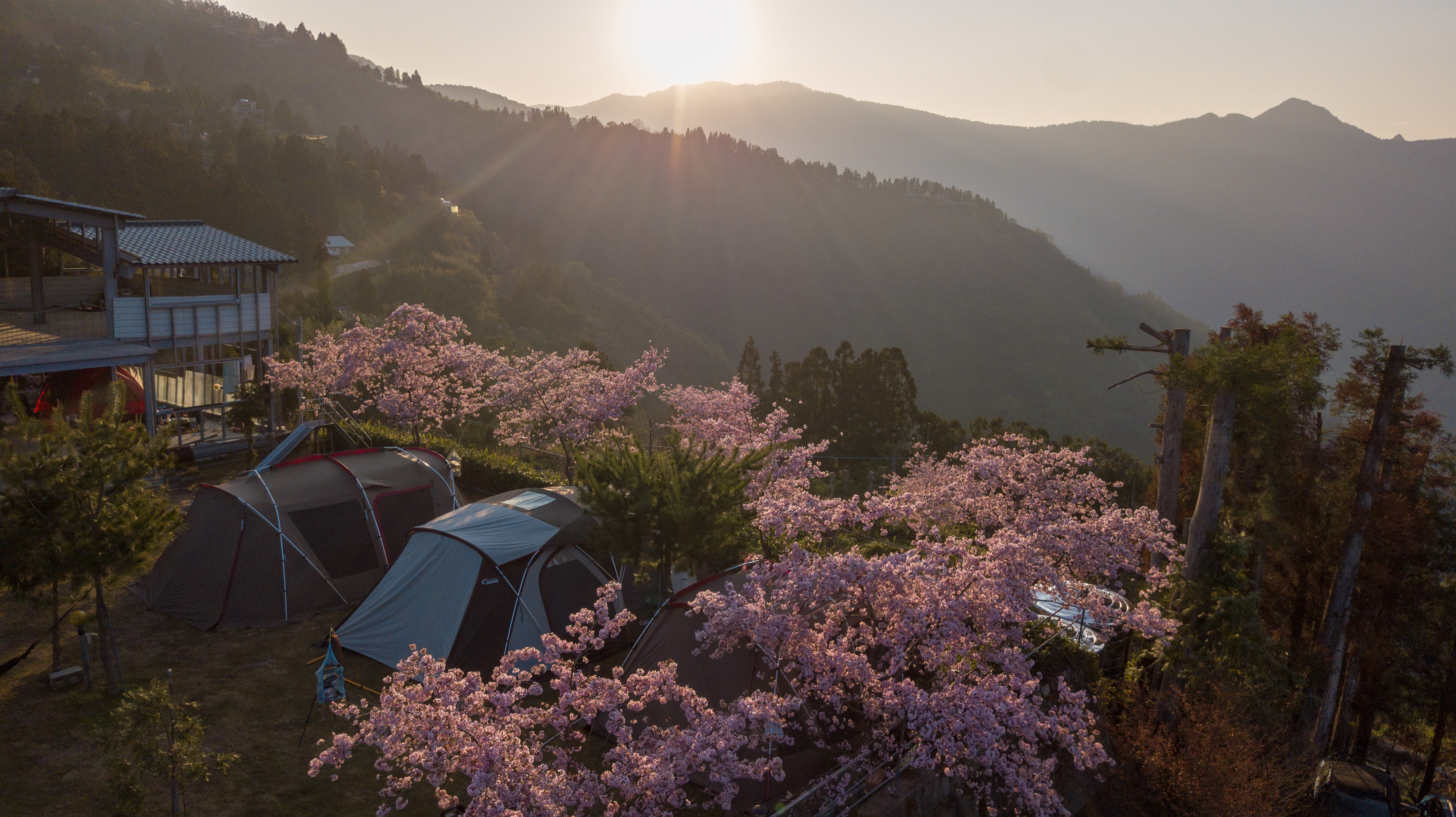 DJI_0010