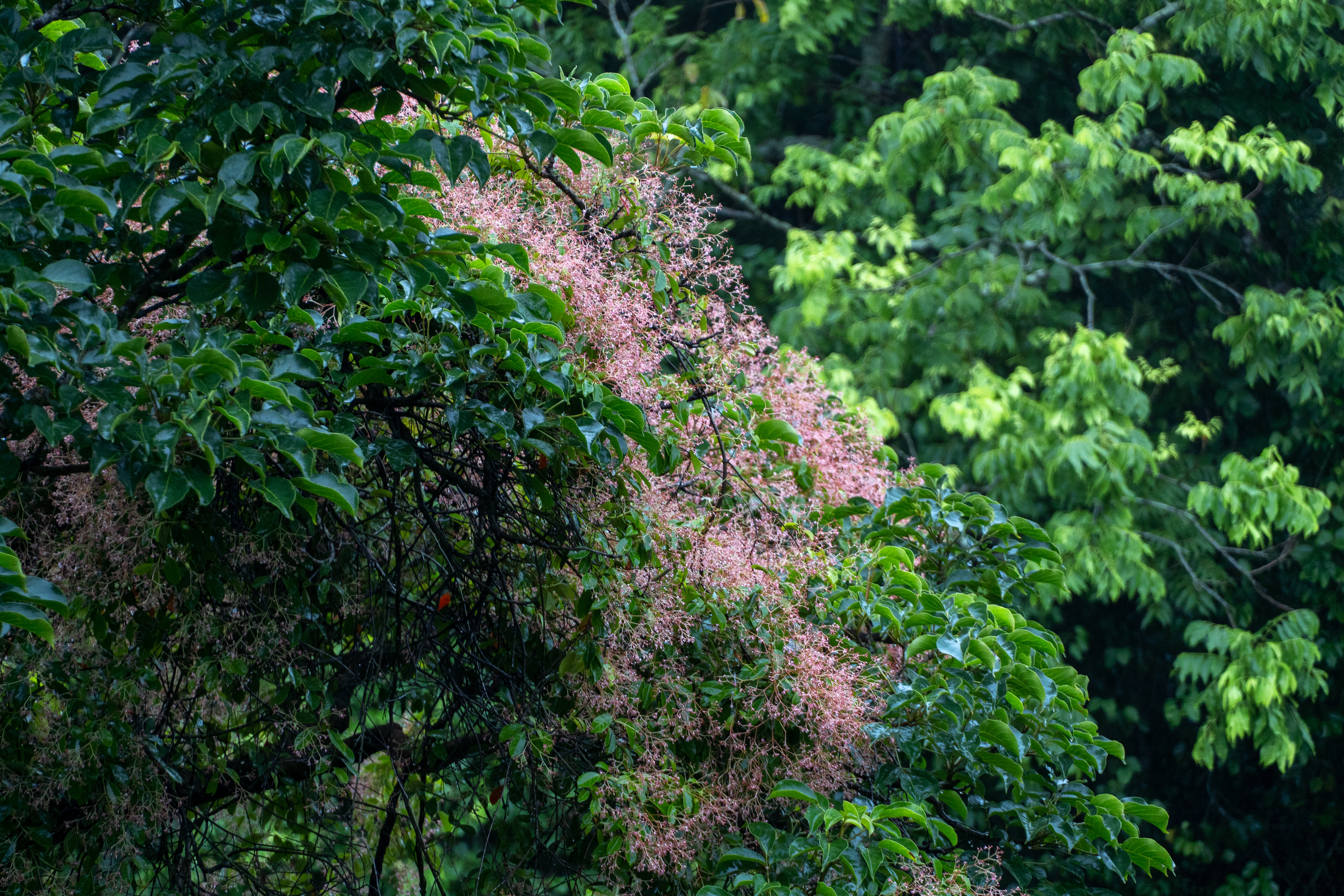 DSC01570