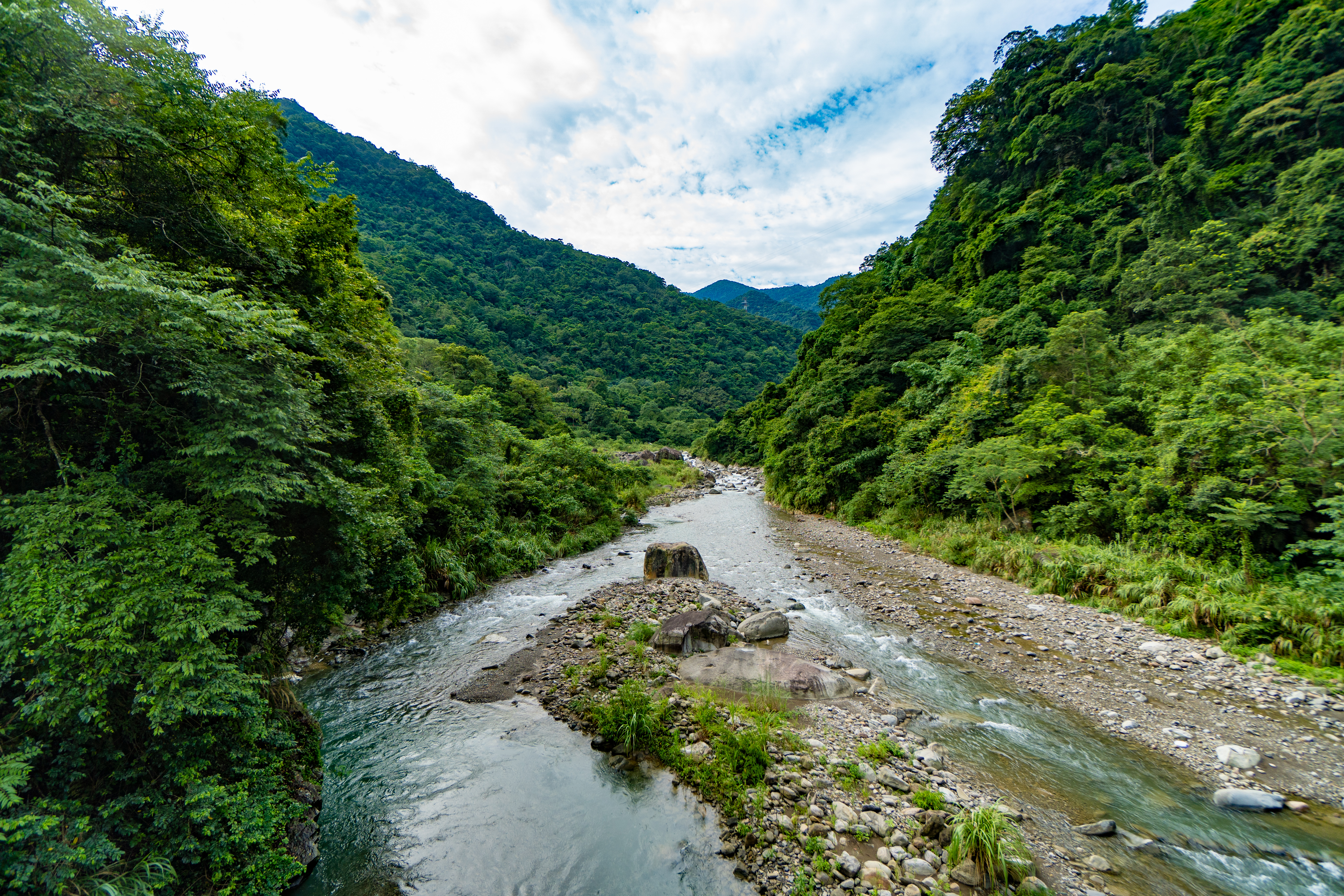 DSC06000