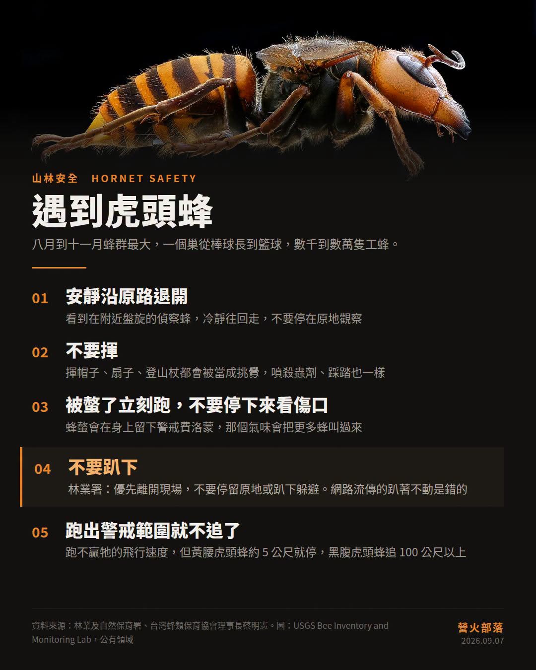 墾丁欖仁溪虎頭蜂事故：秋天的蜂巢和正確的退法