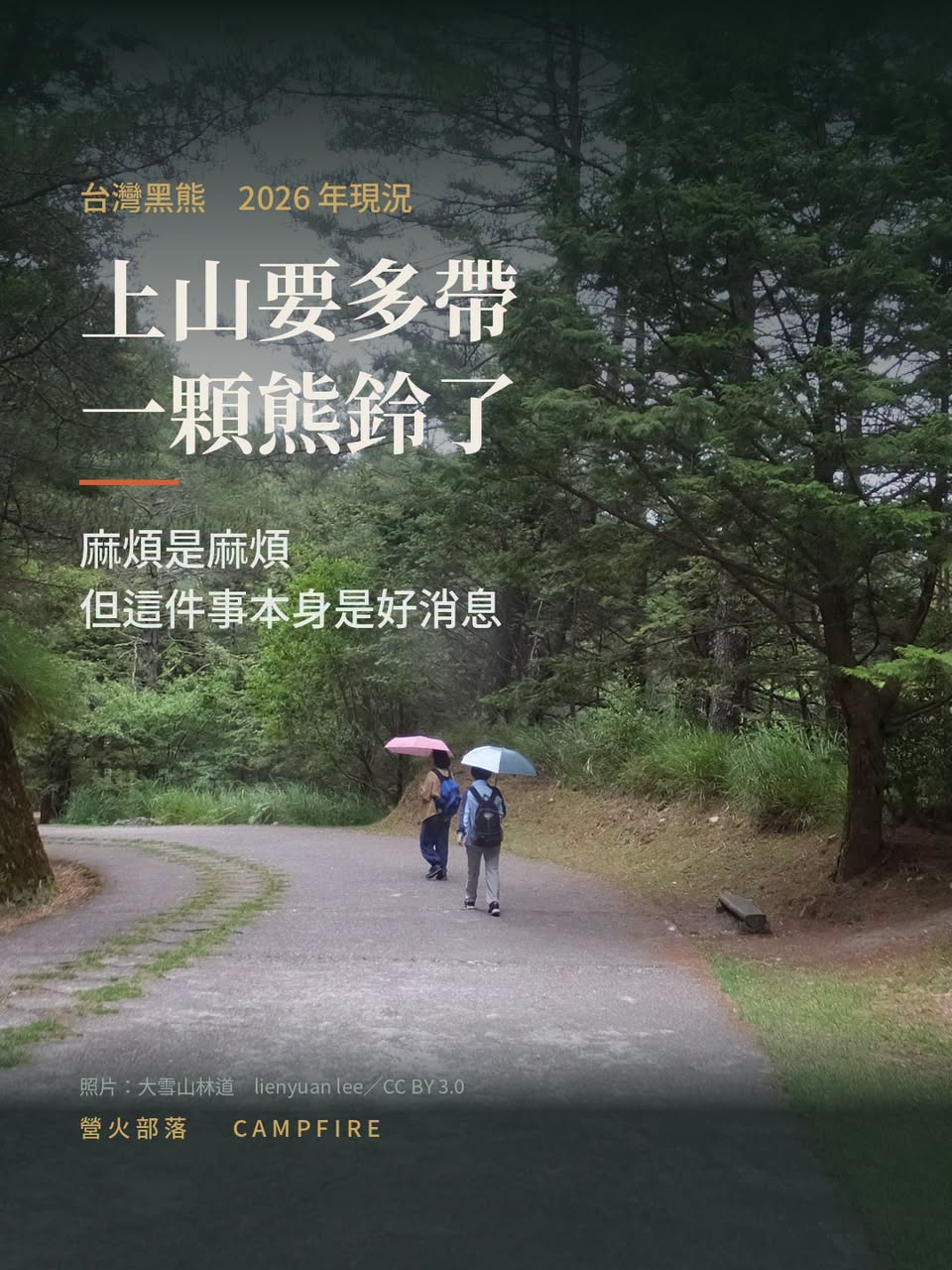 上山多帶一顆熊鈴：黑熊估計 1,200 隻，遇到熊的四個步驟
