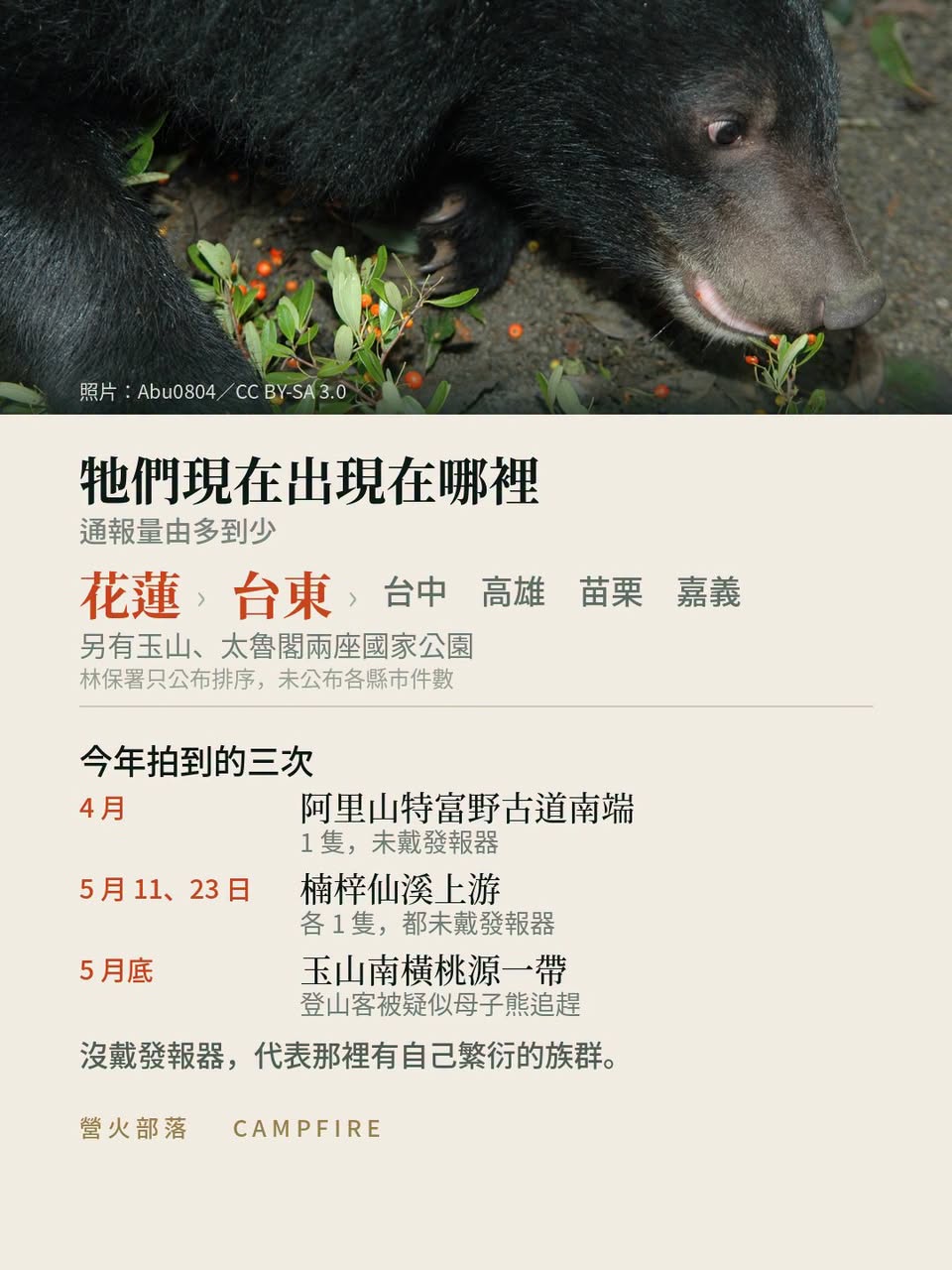 上山多帶一顆熊鈴：黑熊估計 1,200 隻，遇到熊的四個步驟