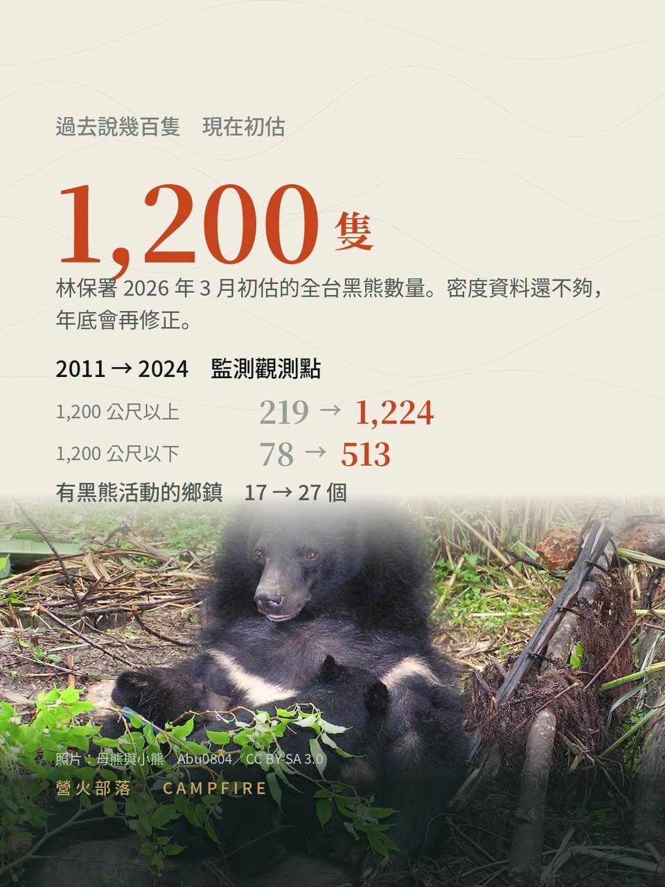 上山多帶一顆熊鈴：黑熊估計 1,200 隻，遇到熊的四個步驟