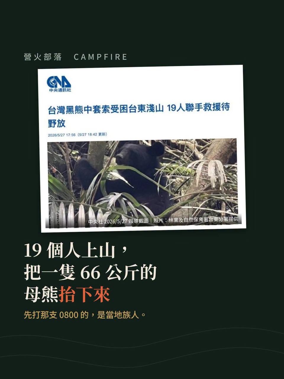 19 個人上山，把一隻 66 公斤的母熊抬下來