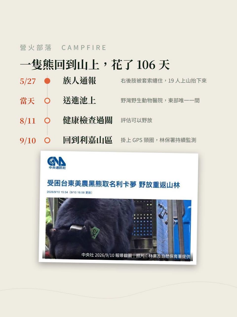 19 個人上山，把一隻 66 公斤的母熊抬下來