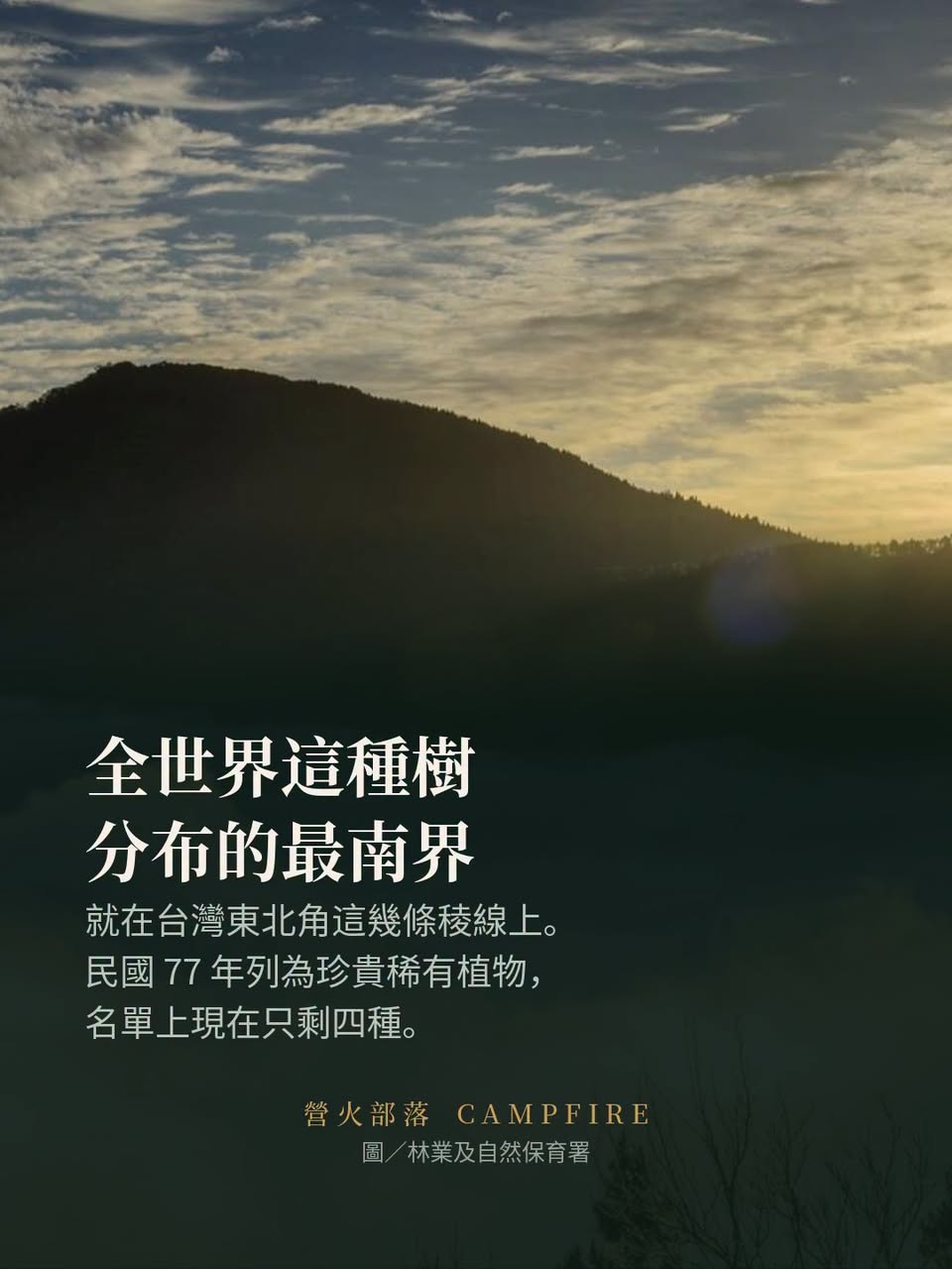 太平山山毛櫸步道今年的管制：假日翠峰景觀道路限 200 台車