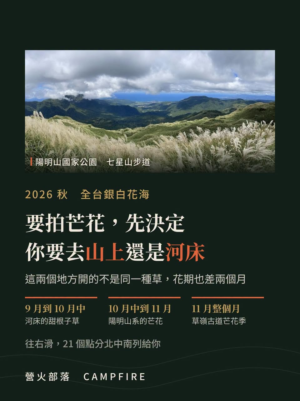 河床那片銀白不是芒花，是甜根子草