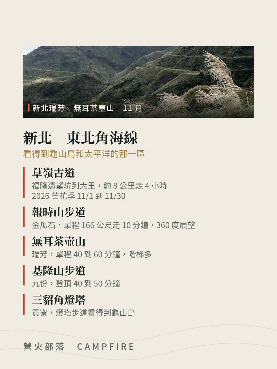河床那片銀白不是芒花，是甜根子草