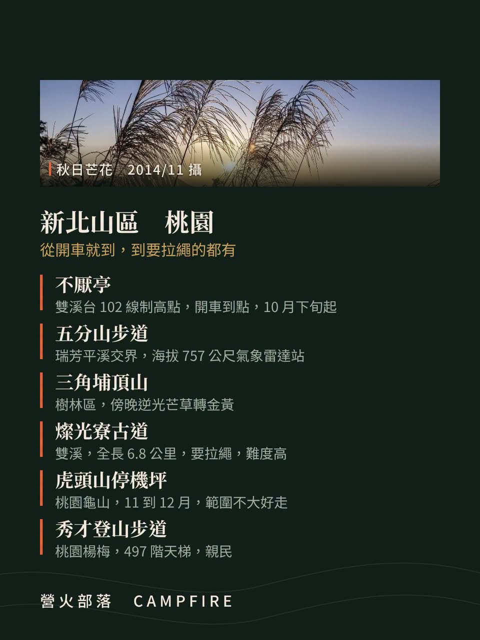 河床那片銀白不是芒花，是甜根子草