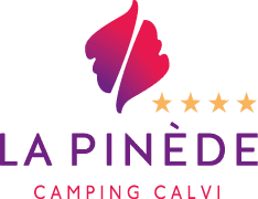 Camping Avec Piscine Calvi Locations Vacances Camping Avec Piscine Calvi