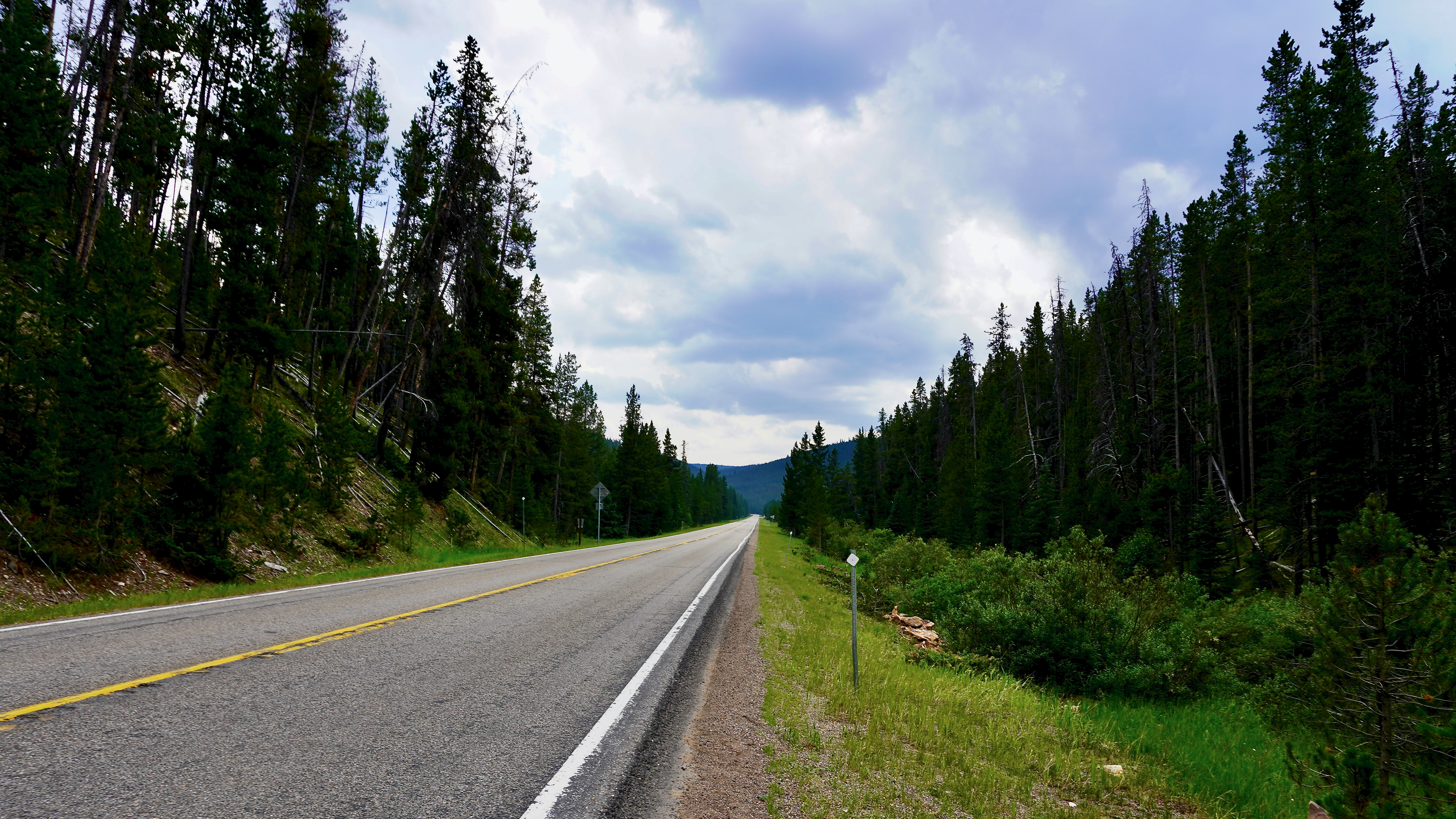 a road through helena-lewis and clark national forest with forest on both sides and hills in the distance