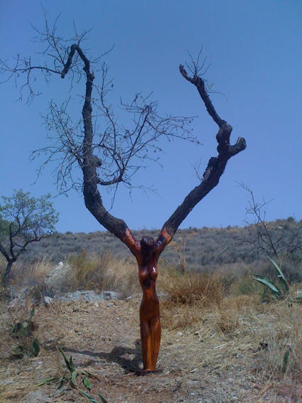 El Zorro — photo 6