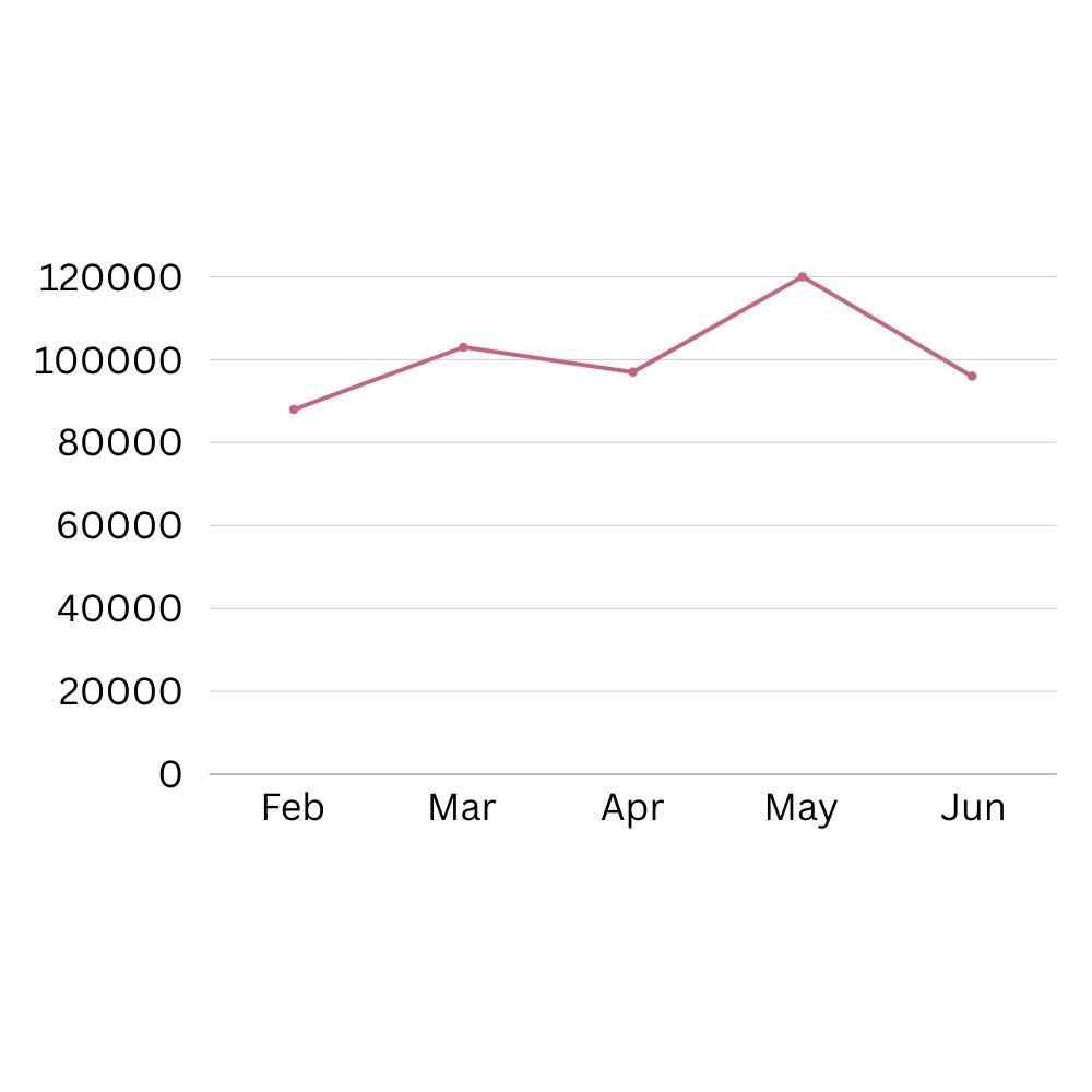 Visitor Count Graph