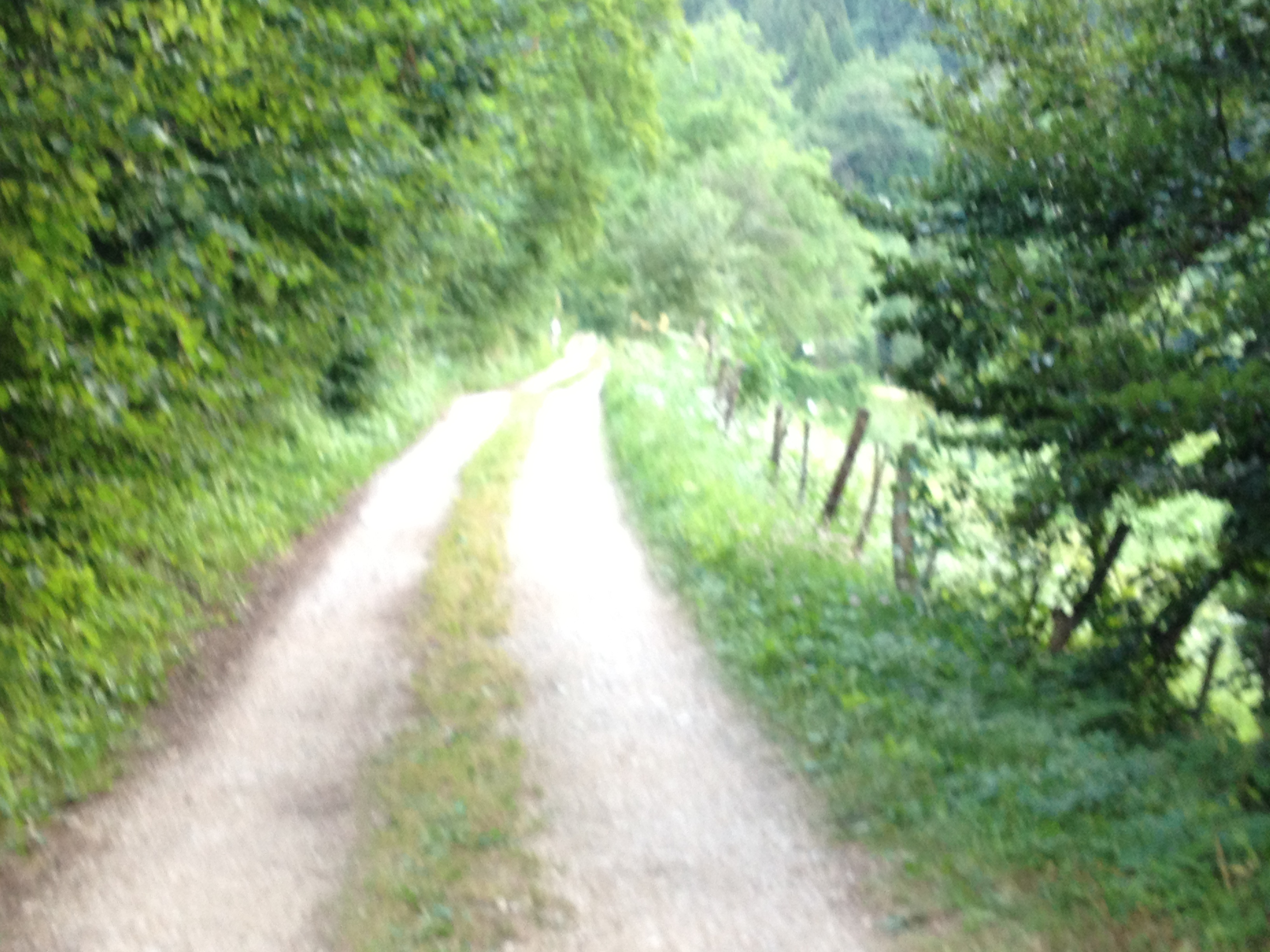 Campo Prada 3 — photo 2
