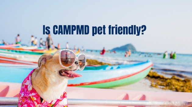 Is CAMPMD pet friendly?