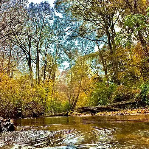 The River's Edge River