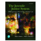 (eBook) (PDF) Juvenile Justice System, The: Delinquency, Processing, and the Law, 9th edition
