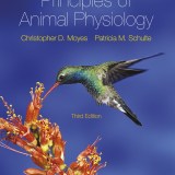 (eBook) (PDF) Principles of Animal Physiology, 3rd edition