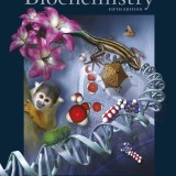(eBook) (PDF) Principles of Biochemistry, 5th edition