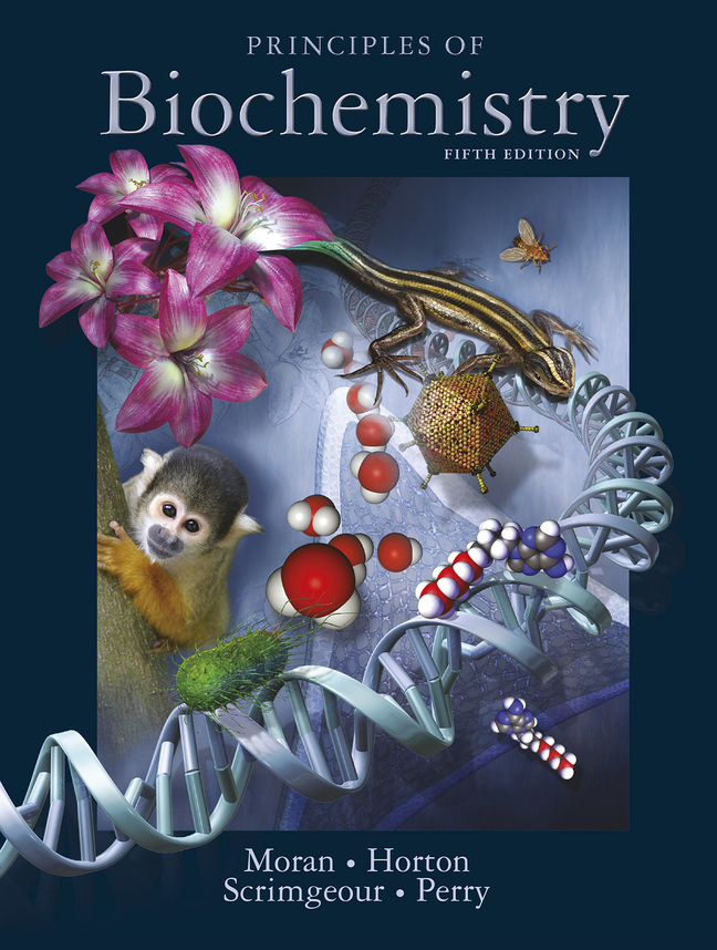 (eBook) (PDF) Principles of Biochemistry, 5th edition