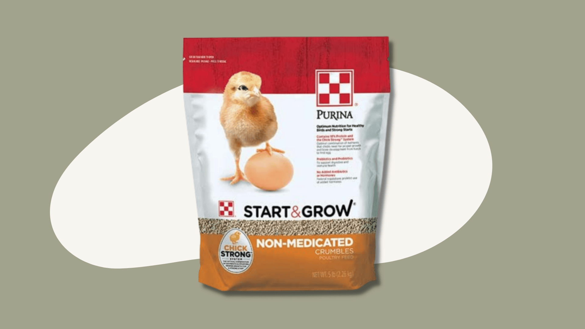 Picture of 7 Must-Have Supplies for Baby Chicks