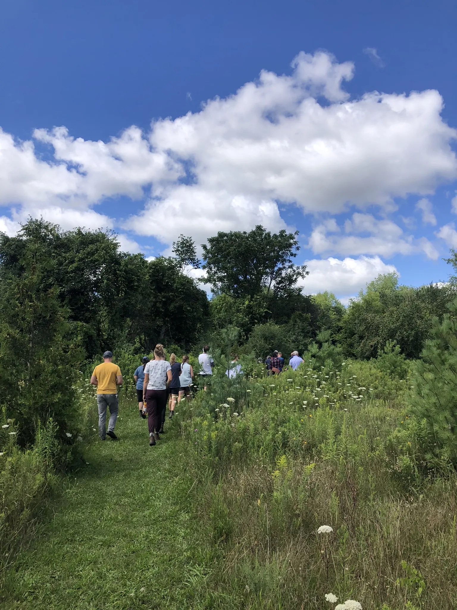 Ignatius Jesuit Centre