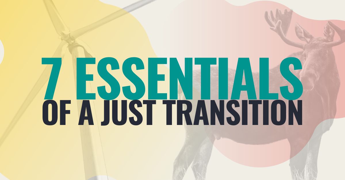 7 essentials of a Just Transition