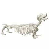 There are a number of causes, including parasites, illness or eating something they shouldn't have. For Living Skeleton Dog 21 In Canadian Tire
