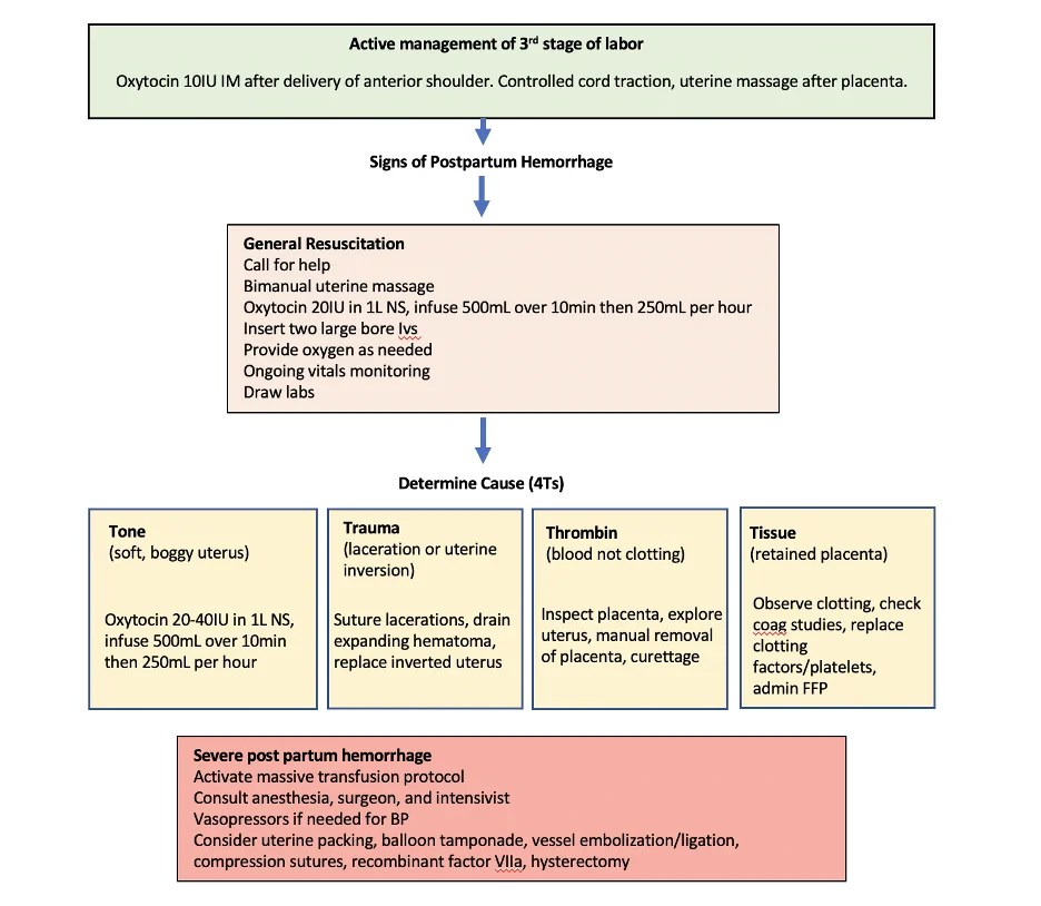 Postpartum hemorrhage management