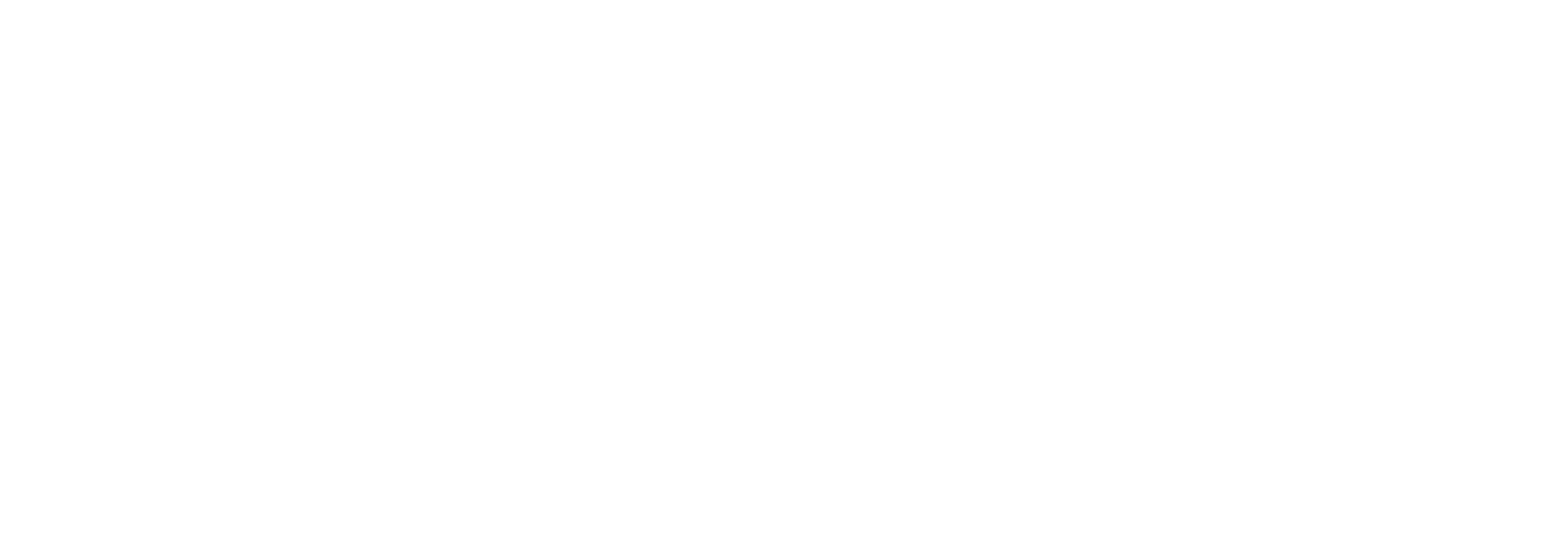 nnms logo open rev