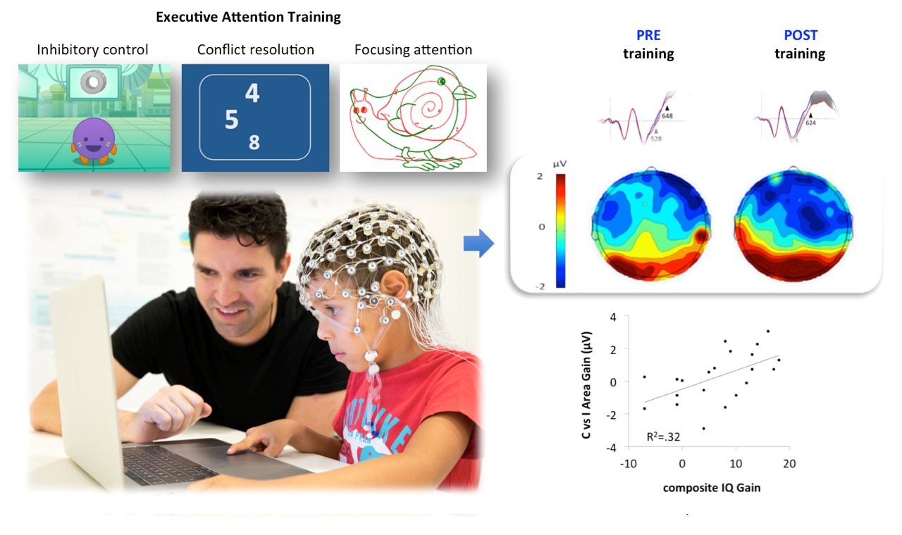 Un estudio revela que entrenar la atención mejora la inteligencia y el funcionamiento del cerebro de los niños