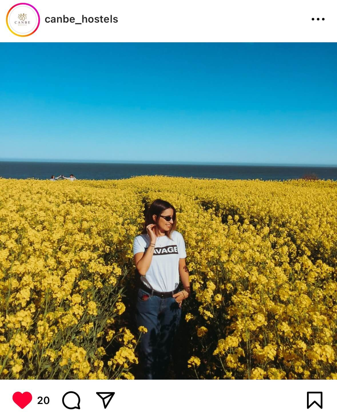 Canola Fields in Greystones, Dublin, Ireland